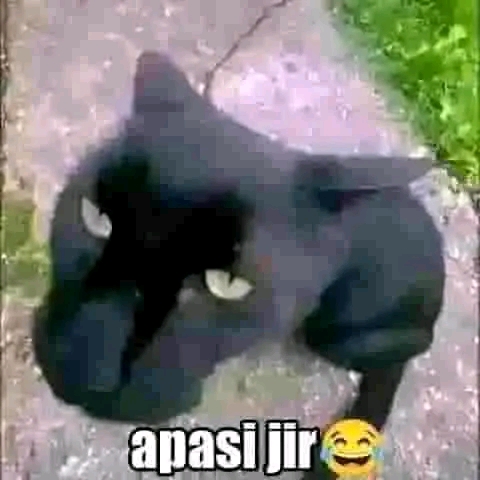 Comment image