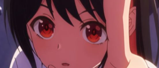 Banner Lann